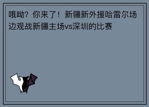 哦呦？你来了！新疆新外援哈雷尔场边观战新疆主场vs深圳的比赛